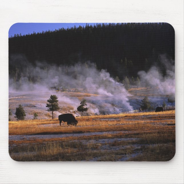 Bison grazing in the Upper Geyser Basin Mouse Pad (Front)