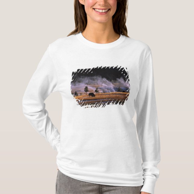 Bison grazing in the Upper Geyser Basin T-Shirt (Front)
