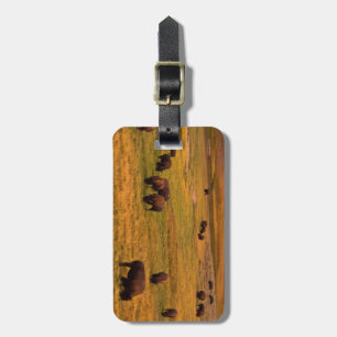 Bison Grazing on Hill at Hayden Valley Luggage Tag
