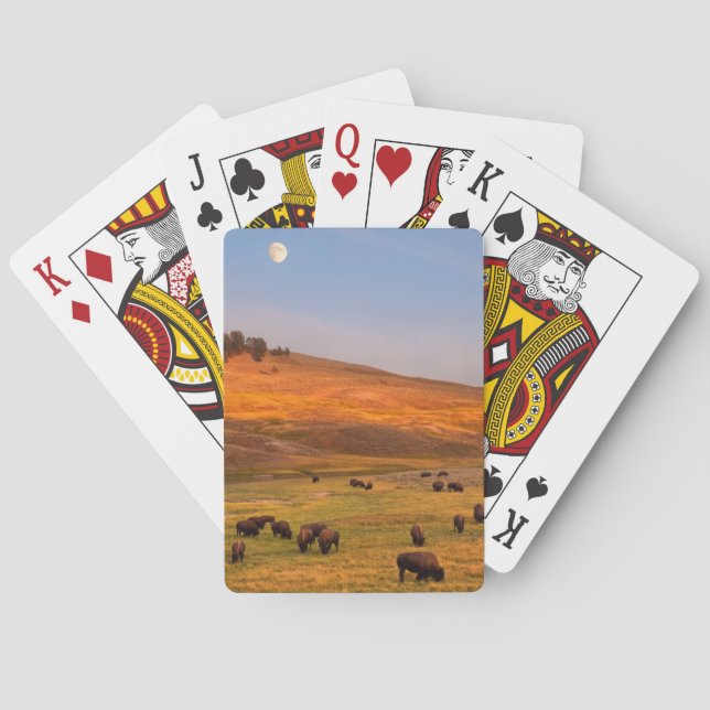 Bison Grazing on Hill at Hayden Valley Playing Cards (Back)