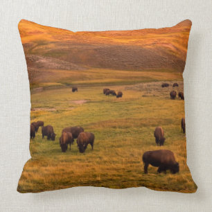 Bison Grazing on Hill at Hayden Valley Throw Pillow