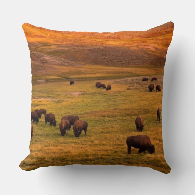 Bison Grazing on Hill at Hayden Valley Throw Pillow (Front)