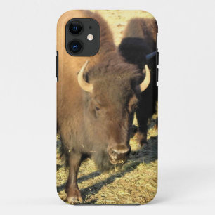 Bison in Colorado iPhone 11 Case