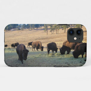 Bison in Colorado iPhone 11 Case