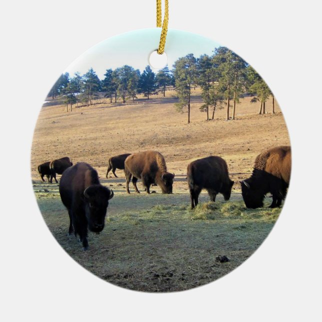 Bison in Colorado Ceramic Ornament (Front)