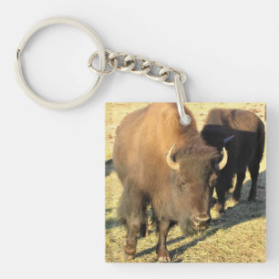 Bison in Colorado Keychain