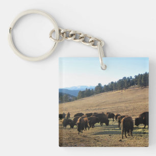 Bison in Colorado Keychain