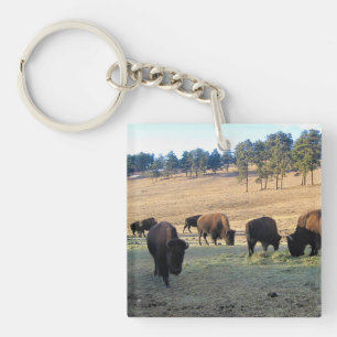Bison in Colorado Keychain