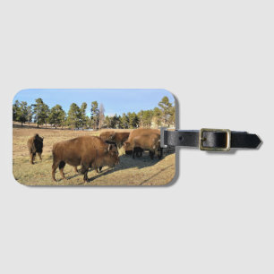 Bison in Colorado Luggage Tag