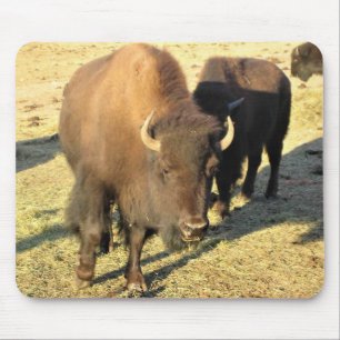 Bison in Colorado Mouse Pad