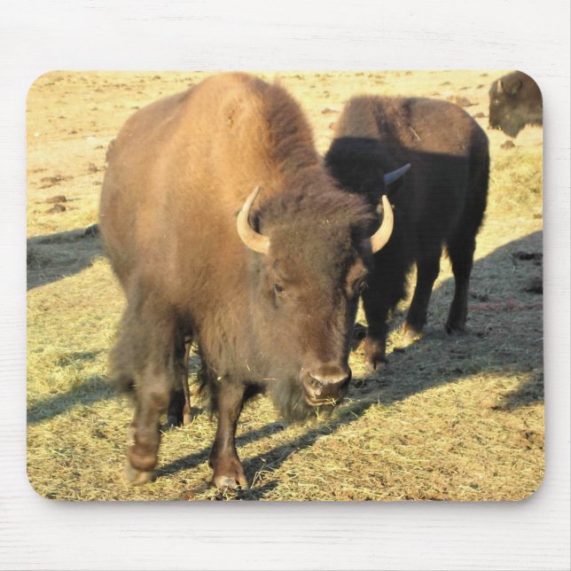 Bison in Colorado Mouse Pad (Front)