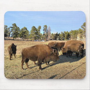 Bison in Colorado Mouse Pad