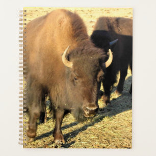 Bison in Colorado Planner