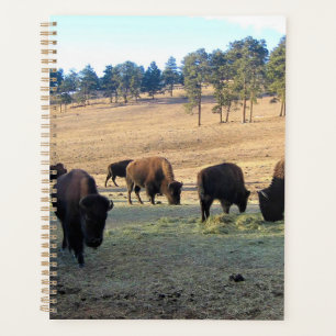 Bison in Colorado Planner