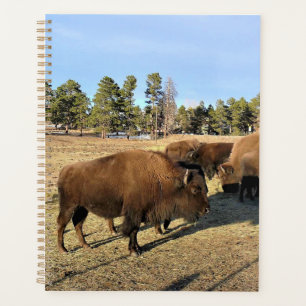 Bison in Colorado Planner