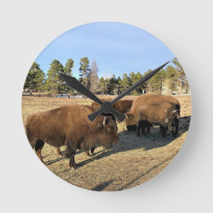 Bison in Colorado Round Clock