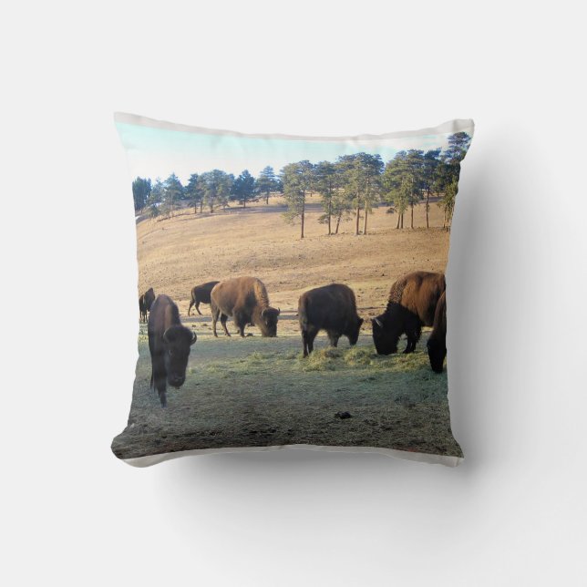 Bison in Colorado Throw Pillow (Front)