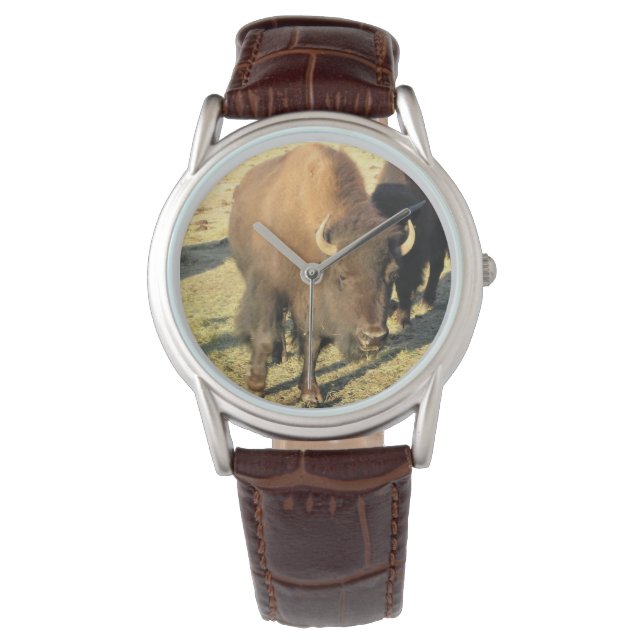Bison in Colorado Watch (Front)