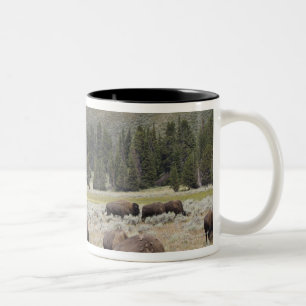 Bison in the Hayden Valley of Yellowstone Two-Tone Coffee Mug