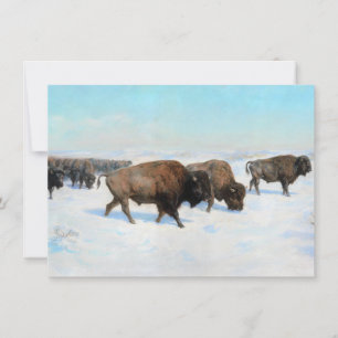 Bison in the Snow (by Rosa Bonheur) Card