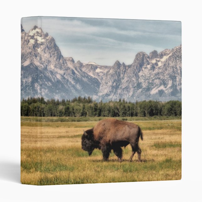 Bison in the Tetons Binder (Front/Spine)