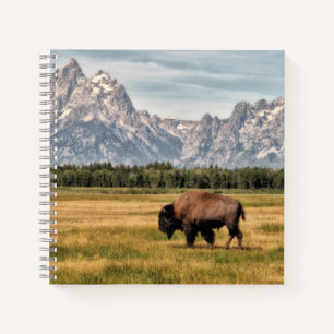 Bison in the Tetons Notebook