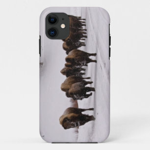 Bison in Winter iPhone 11 Case