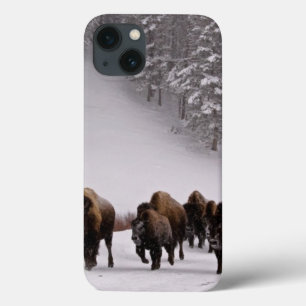 Bison in Winter iPhone 13 Case