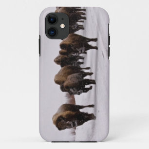 Bison in Winter iPhone 11 Case