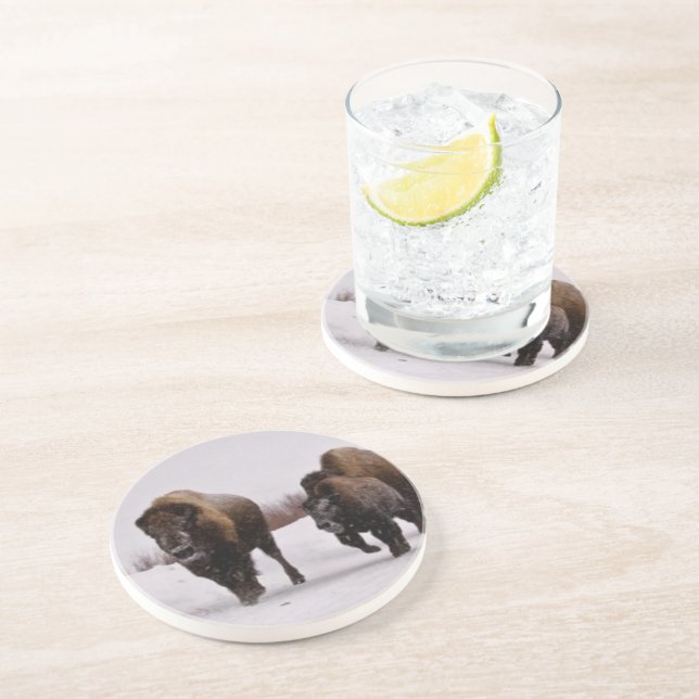 Bison in Winter Coaster (Side)