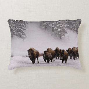 Bison in Winter Decorative Pillow