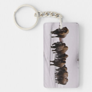Bison in Winter Keychain