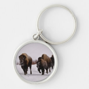 Bison in Winter Keychain