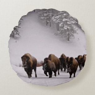 Bison in Winter Round Pillow