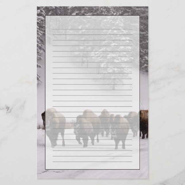 Bison in Winter Stationery (Front)