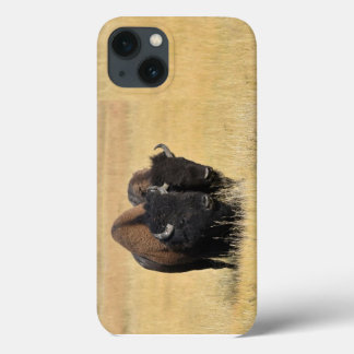 Bison in Yellowstone National Park iPhone 13 Case