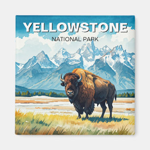 Bison in Yellowstone National Park Magnet