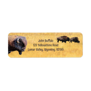 Bison In Yellowstone Return Address Label