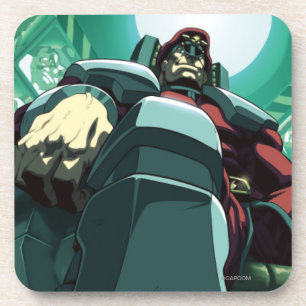 Bison Low-Angle Coaster
