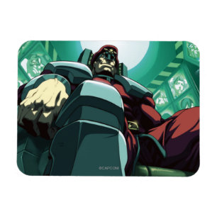 Bison Low-Angle Magnet