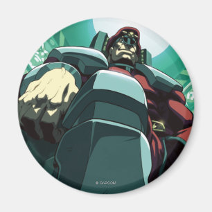 Bison Low-Angle Magnet