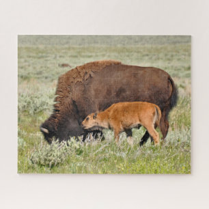 Bison Mama and Baby Design Puzzle