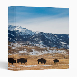Bison Migration Binder