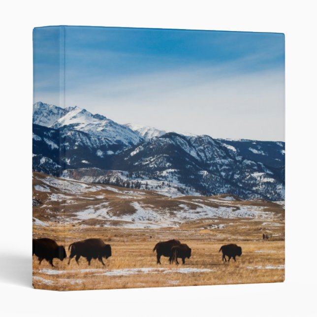 Bison Migration Binder (Front/Spine)