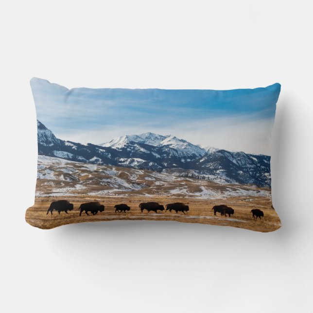 Bison Migration Lumbar Pillow (Front)