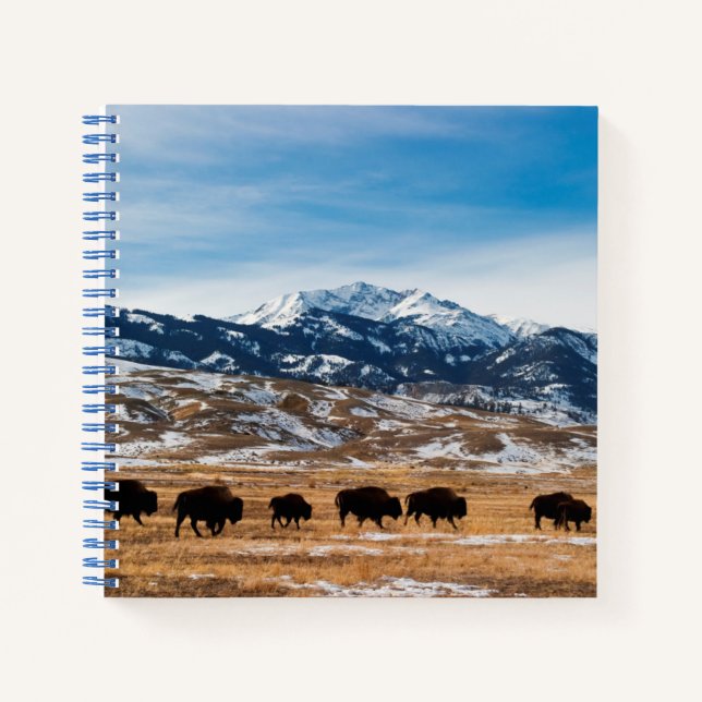 Bison Migration Notebook (Front)