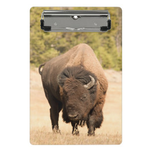 Bison Mini Clipboard