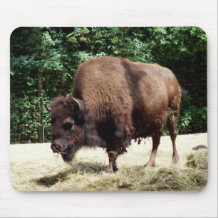 Bison Mouse Pad