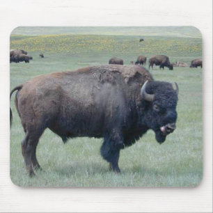 Bison Mouse Pad