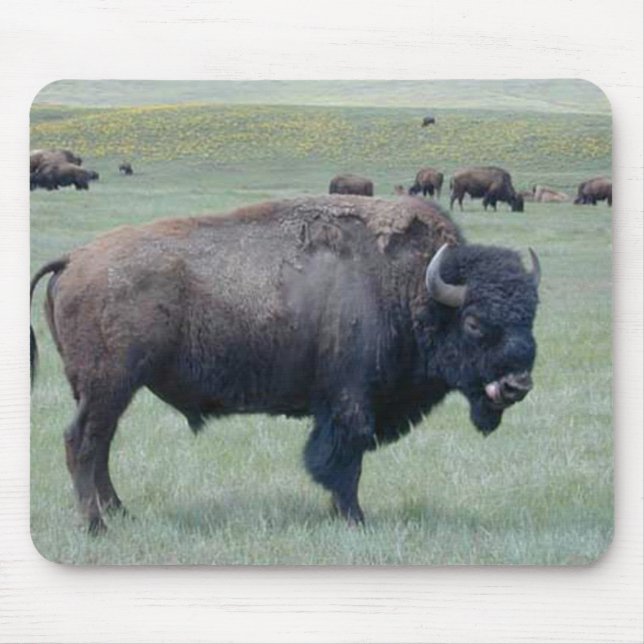 Bison Mouse Pad (Front)